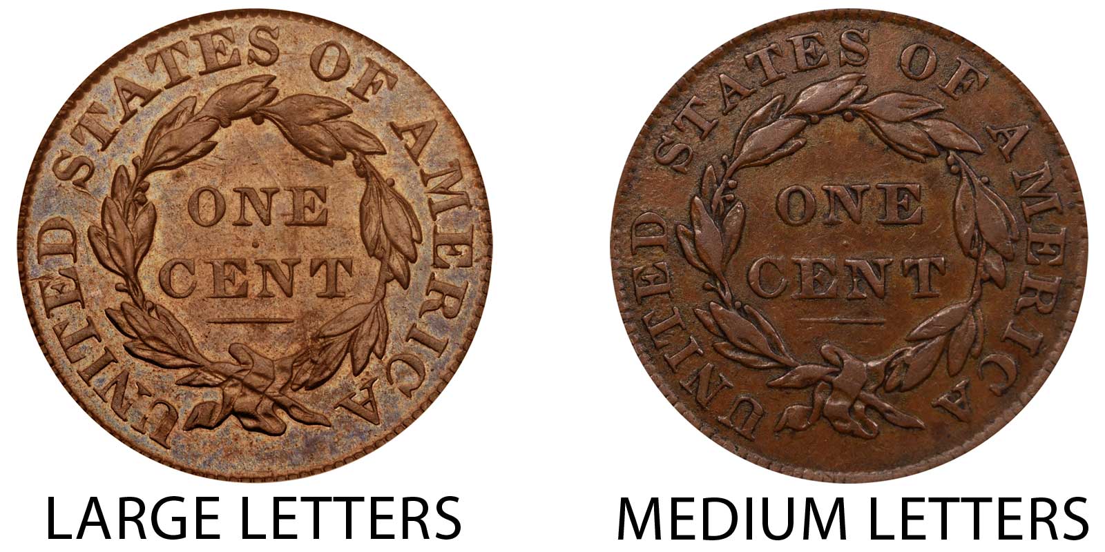 https://www.usacoinbook.com/us-coins/1834-large-letters-vs-medium-letters-coronet-head-large-cent.jpg