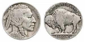<b>1924-D Buffalo Nickel