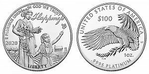 2020 American Platinum Eagle