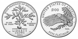 2021 American Platinum Eagle