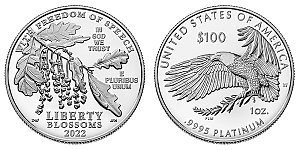 2022 American Platinum Eagle
