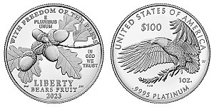 2023 American Platinum Eagle