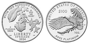 2024 American Platinum Eagle