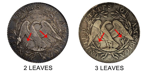 1795 2 Leaves vs 3 Leaves Flowing Hair Half Dollar - Difference and Comparison