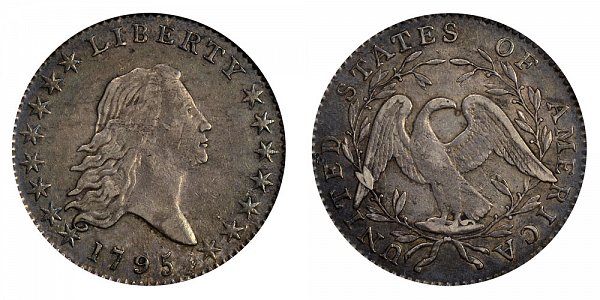 1795 Flowing Hair Half Dollar Varieties - Difference and Comparison 