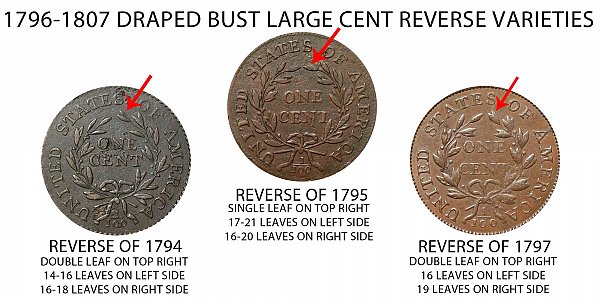 1796 Reverse of 1795 Draped Bust Large Cent - Difference and Comparison
