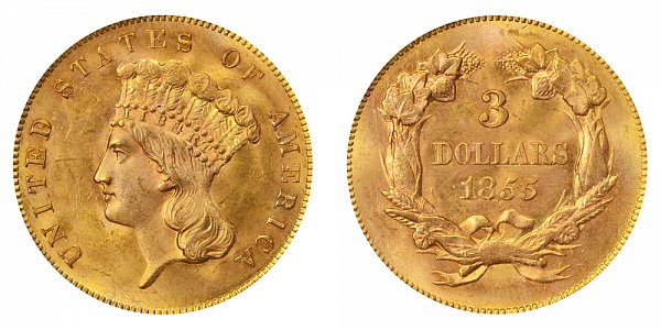 1855 Indian Princess Head Gold $3 Three Dollar Piece - Early Gold Coins ...