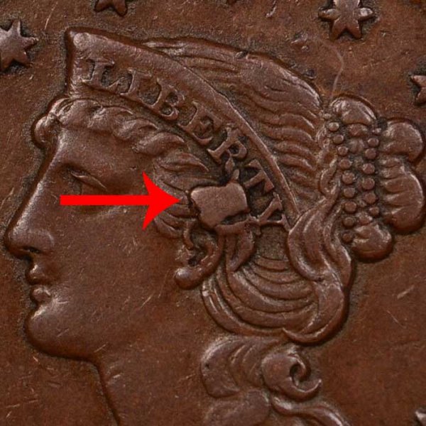1855 Knob On Ear Braided Hair Large Cent - Difference and Comparison
