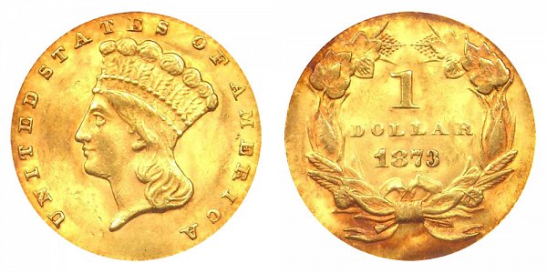 1873 Large Indian Princess Head Gold Dollar G$1 - Open 3 