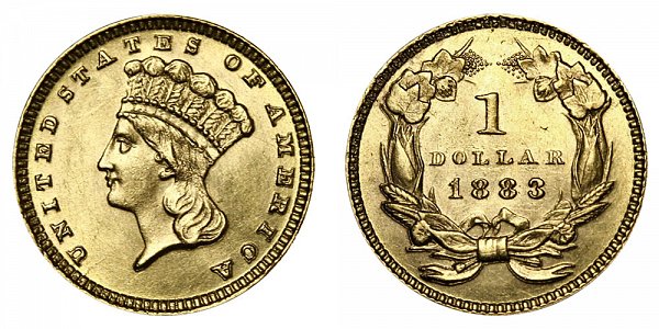 1883 Large Indian Princess Head Gold Dollar G$1 