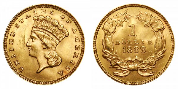 1888 Large Indian Princess Head Gold Dollar G$1 